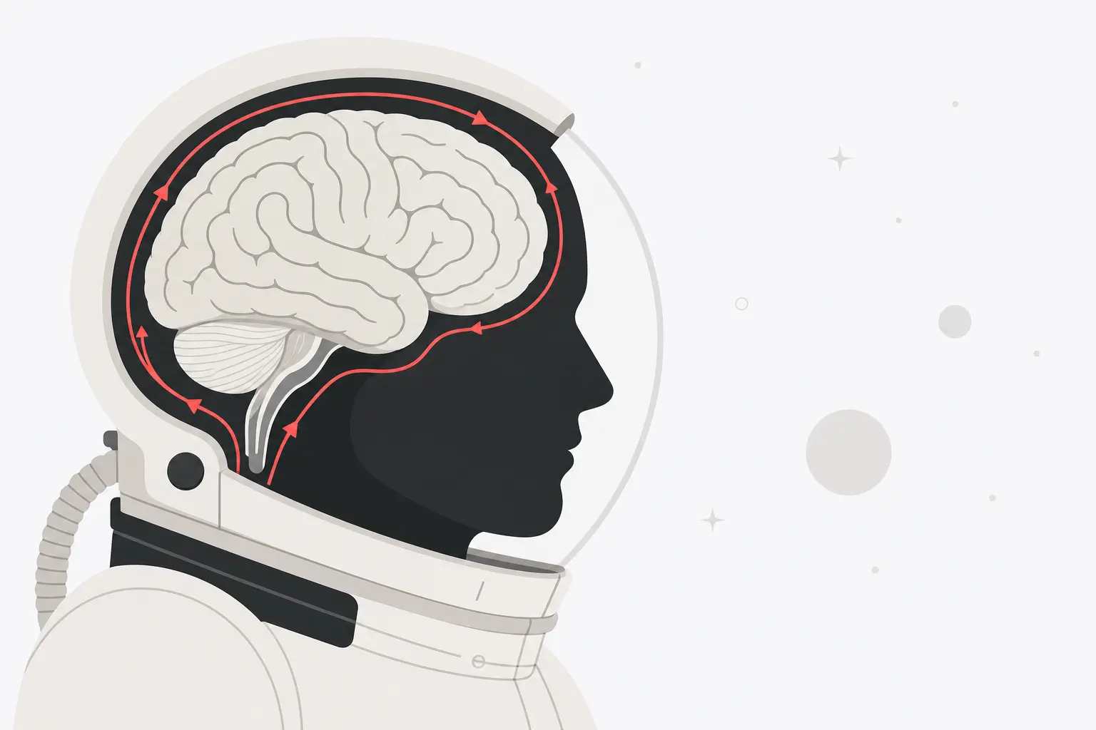Flat editorial illustration of an astronaut helmet in cross-section with a simplified brain visible inside, surrounded by fluid flow lines in red