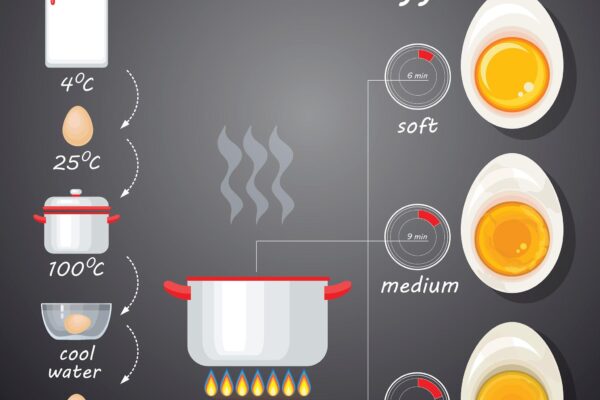 A variety of perfectly cooked eggs including scrambled, fried, boiled, and poached styles